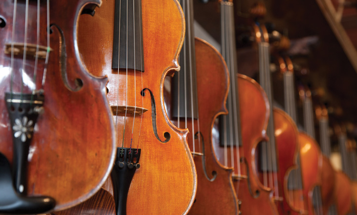 Violas