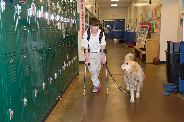  Service-Assistance Dogs 
