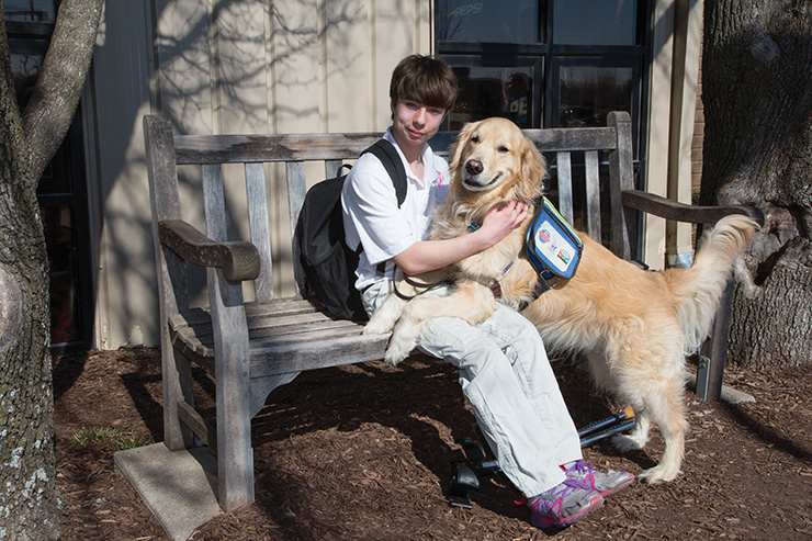  Service-Assistance Dogs 