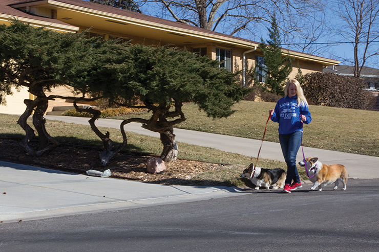  Lawrence Pet Friends 