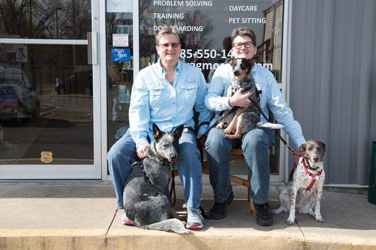 Wagmore Canine Enrichment