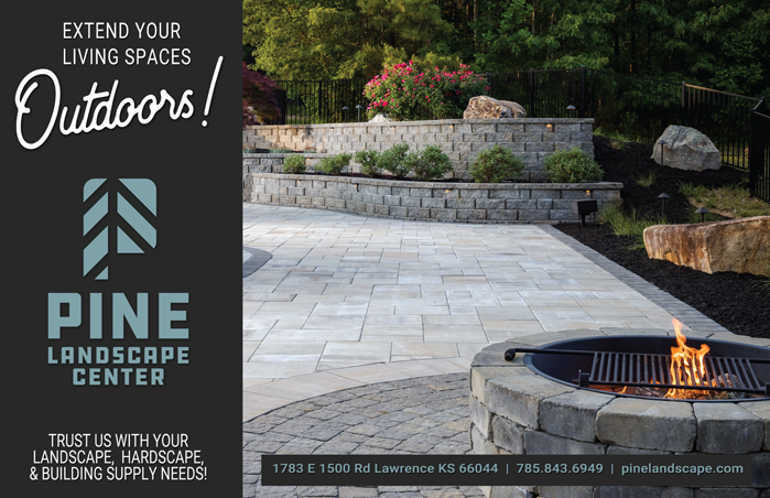 Pine Landscape 2023Q3