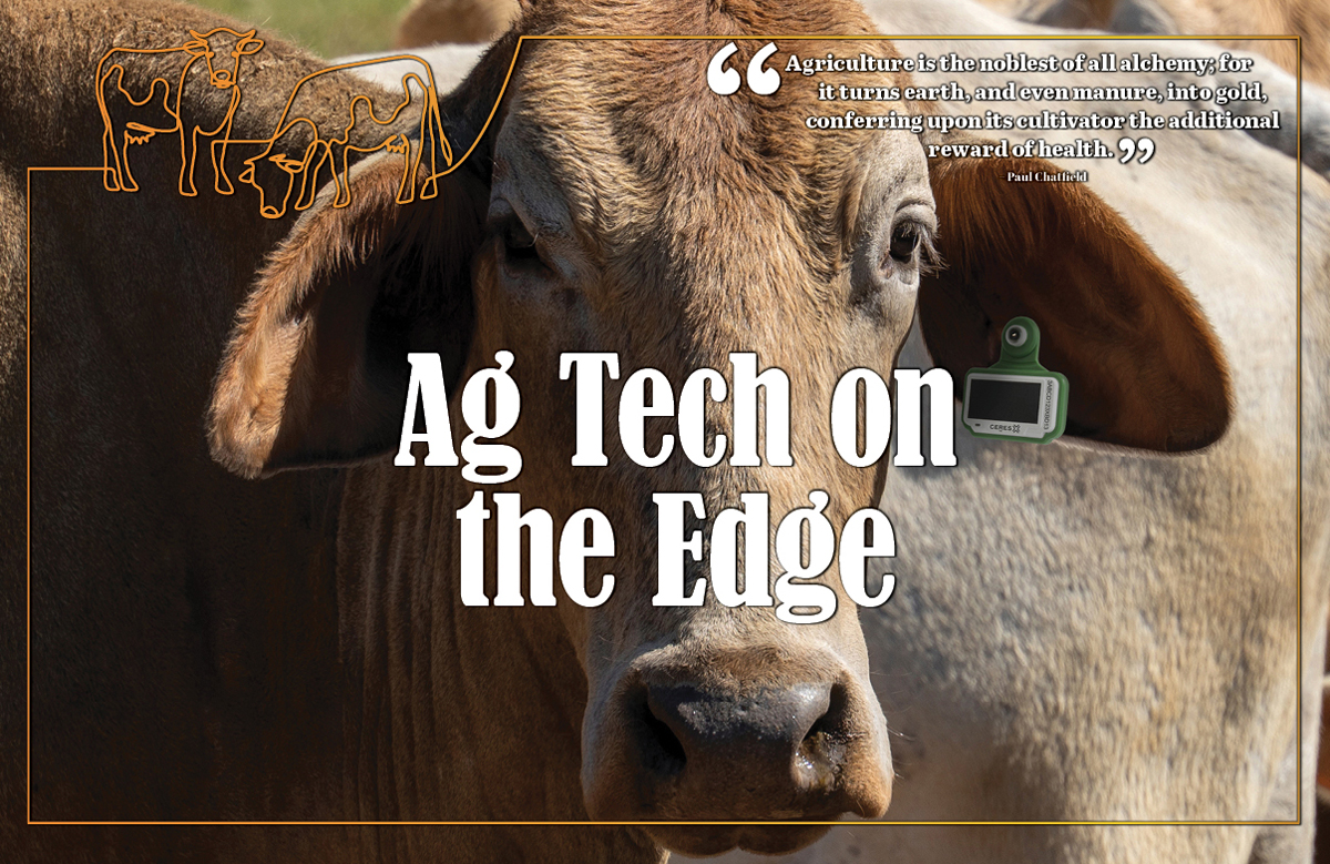 The Future of Agriculture