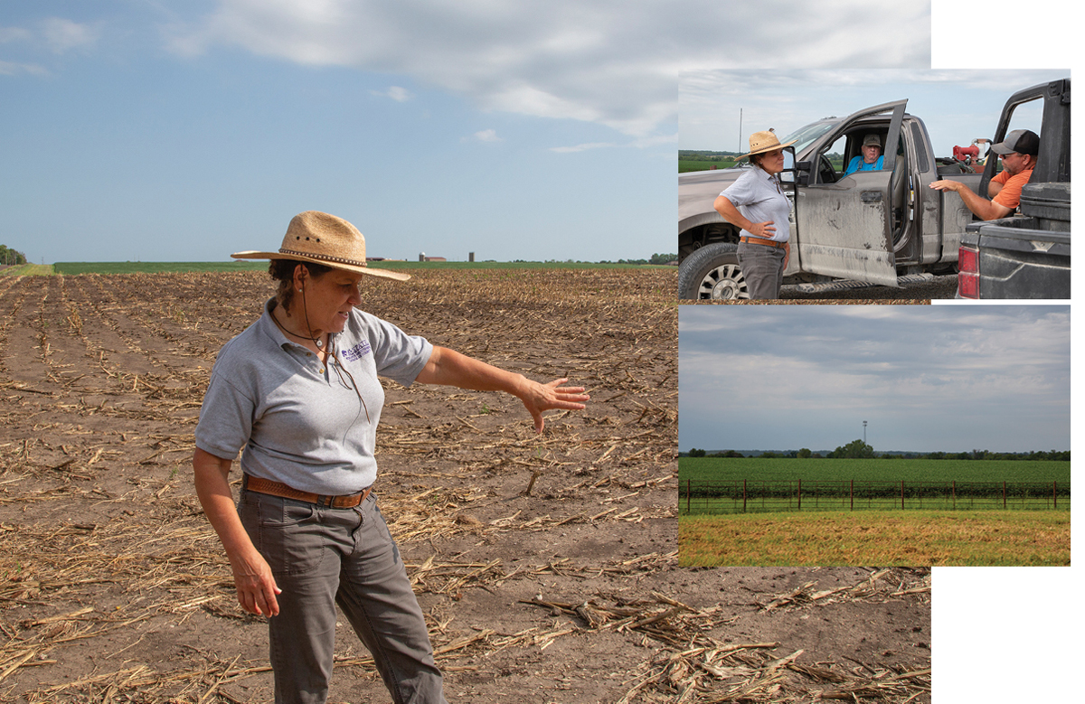 The Future of Agriculture