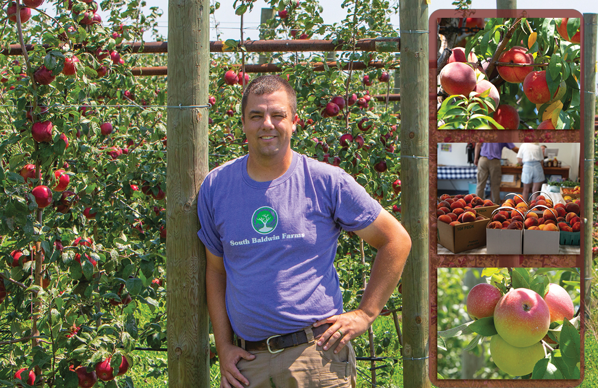 The Future of Agriculture