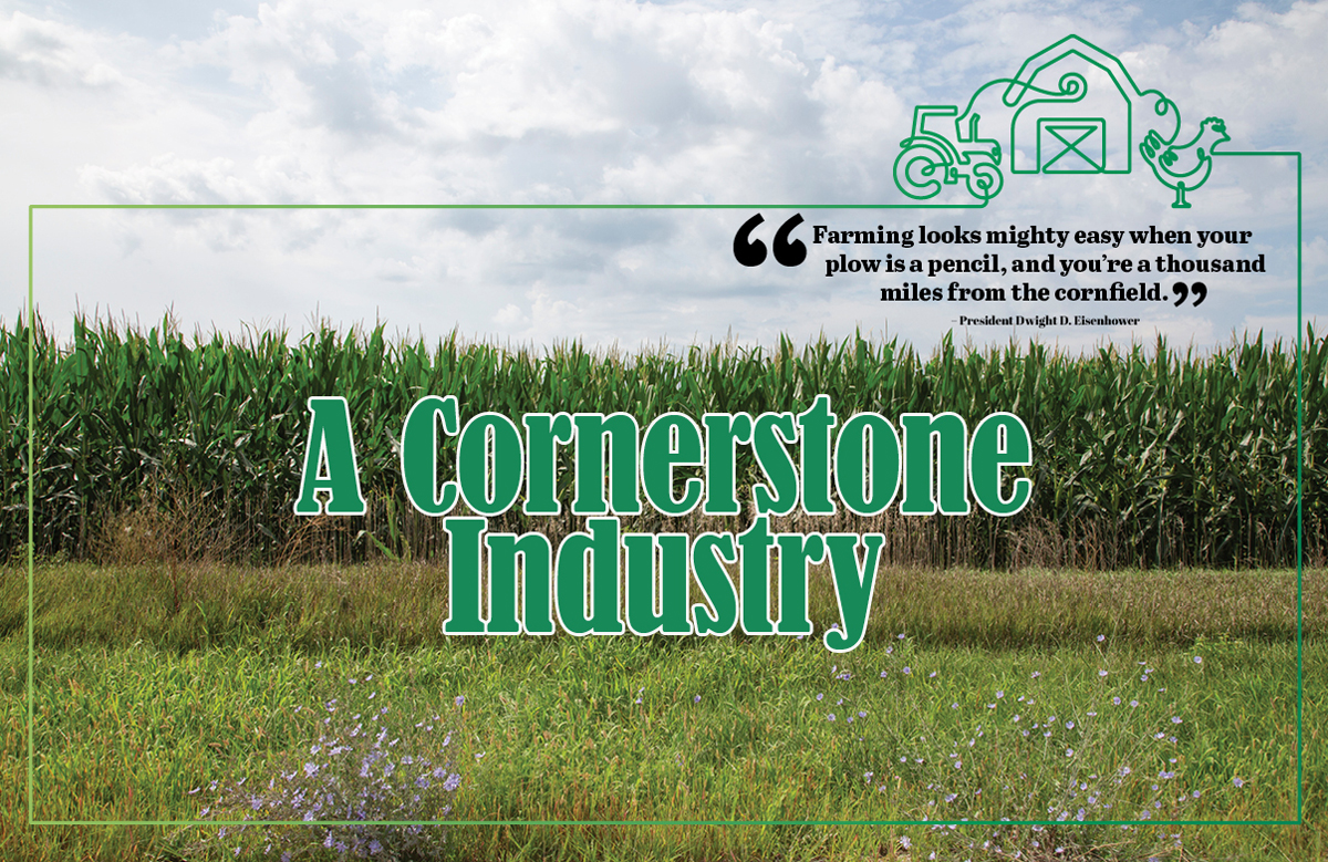 The Future of Agriculture