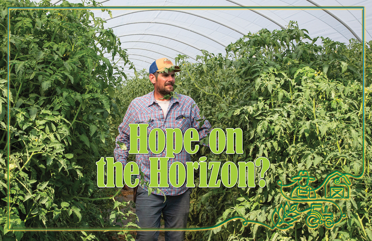 The Future of Agriculture