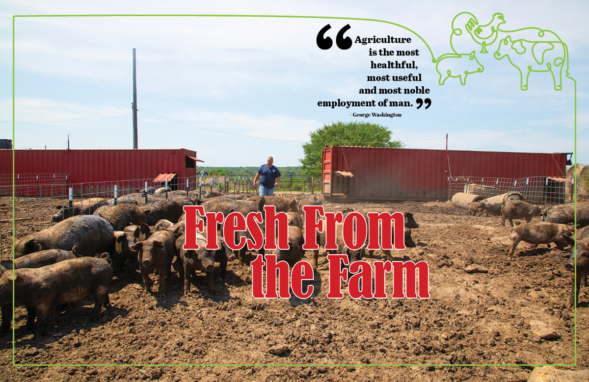 The Future of Agriculture