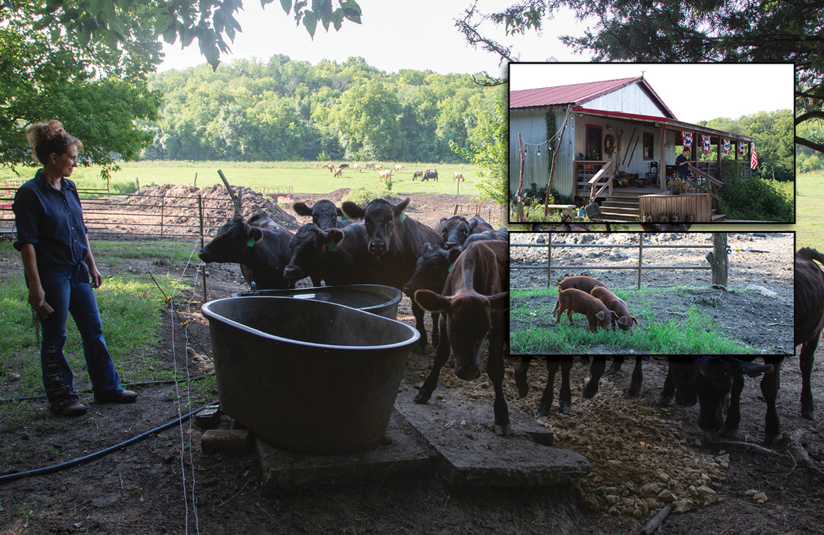 The Future of Agriculture