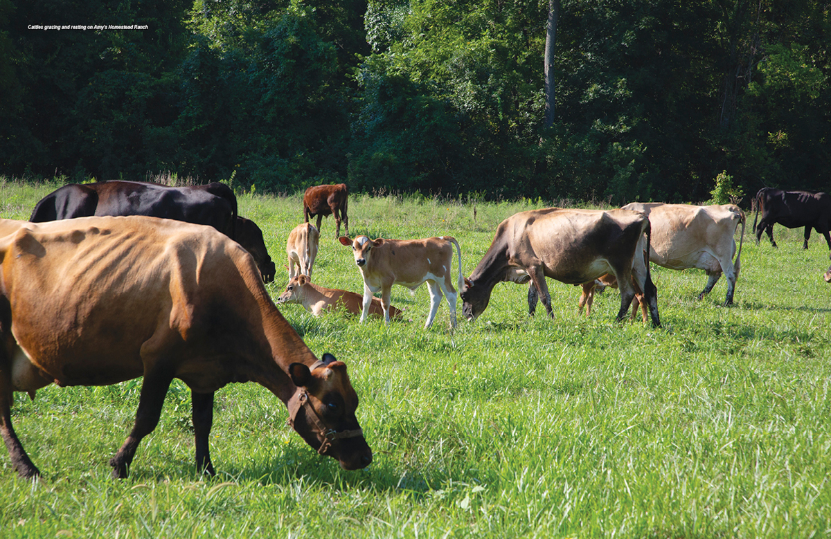 The Future of Agriculture