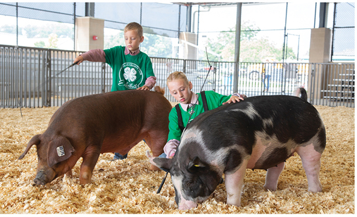 The Future of Agriculture