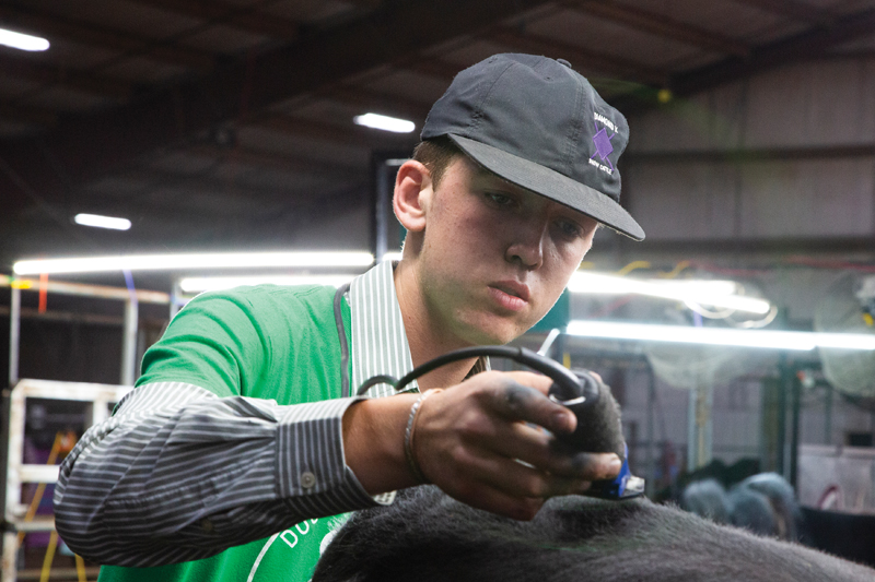 The Future of Agriculture