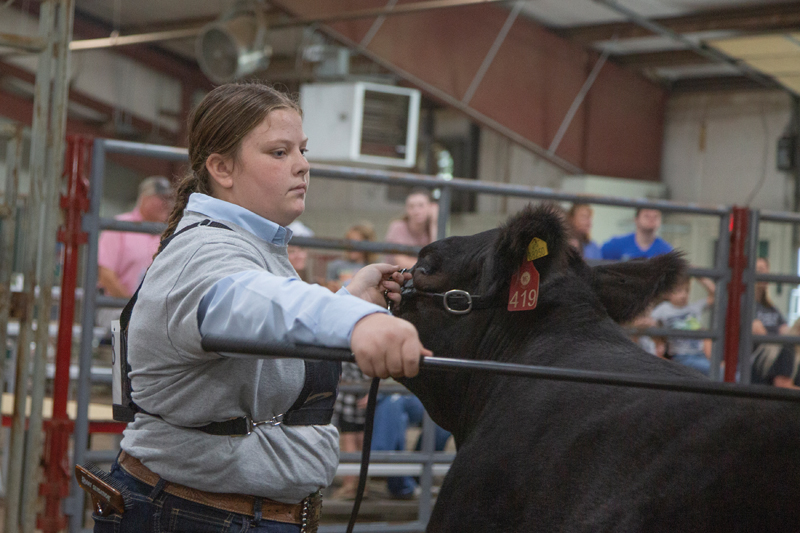The Future of Agriculture