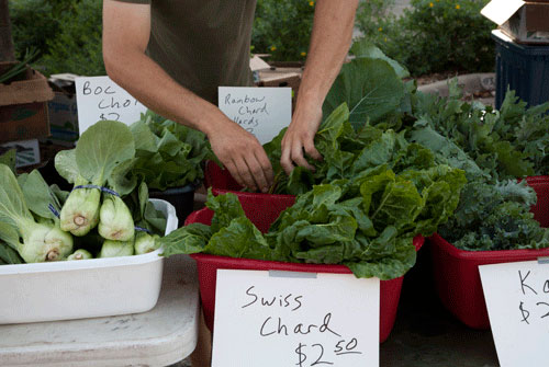 swiss chard